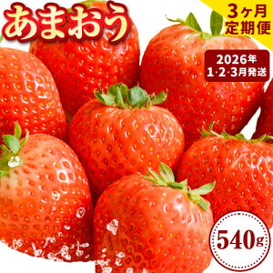 yӂ邳Ɣ[Łzyzsn悠z2026N s\  ܂   540g Iׂ锭  t[cso׎Iтt {  ʕ  |
