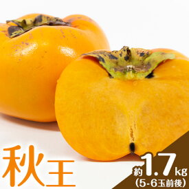 【ふるさと納税】☆2026年出荷☆ 秋王 約1.7kg 《11月上旬-11月末頃出荷》福岡県 鞍手郡 小竹町 柿 かき カキ 種なし 種無し 福岡県産 果物 くだもの フルーツ 【配送不可地域あり】