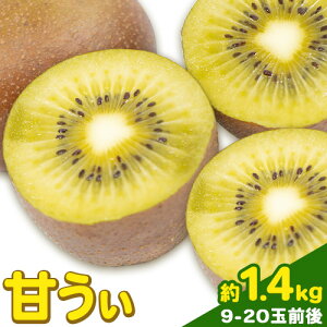 yӂ邳Ɣ[ŁzÂ 1.4kg 9-20ʑOs10{-11oׁt ƎS | LECt[c LEC IWi Vi Â ʕ  t[cyzsn悠