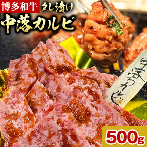 yӂ邳Ɣ[Łza Ɛ ^Ђ  Jr 500g ЊO[vs30ȓɏoח\(yj)tJr   | ɂ  ē Ԑg ^pbN