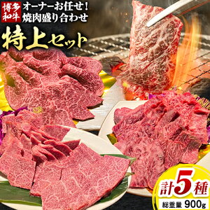 yӂ邳Ɣ[Łza I[i[CI ē 荇킹  Zbg v5 900g 3̕t_t ЊO[vs30ȓɏoח\(yj)t | Jr [