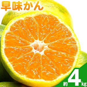 yӂ邳Ɣ[Łzy26Nxoׁz݂  2kg ܂ 4kg 썑t[cЁs9{-9{oׁt | Y ݂  t[c ʕ