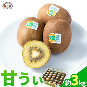 yӂ邳Ɣ[ŁzLEC Â 1.5kg 3kg 썑t[cЁs10{11oׁt | ܂ Y LEC t[c LECt[c ʕ
