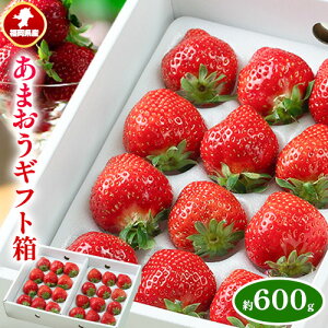 yӂ邳Ɣ[ŁzY ܂ Mtg 300g 600g 썑t[cЁs12{-3oׁt | ܂  C`S yzsn悠z