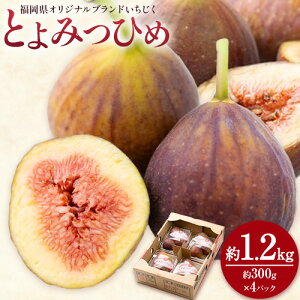 yӂ邳Ɣ[Łzy26Nxoׁz ԉ Ƃ݂Ђ 1.2kg 300g × 4pbN 썑t[cЁs8{-10{oׁt | Y  t[c ʕ