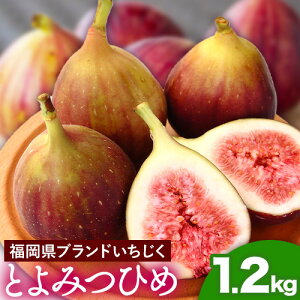 yӂ邳Ɣ[Łz2026Noׁ  Y uh  Ƃ݂Ђ 1.2kg (300g×4pbN) yzsn悠zytwsz s8{-9o(yj)t 