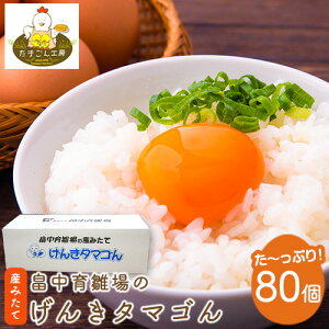 yӂ邳Ɣ[Łz琗̂񂫃^}S 80 s30ȓɏoח\(yj)t ƎS |   LД琗