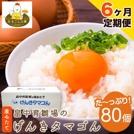 【ふるさと納税】【6ヶ月定期便】畠中育雛場のげんきタマゴん 80個 6回お届けで計480個！《お申込み月の翌月から出荷開始》福岡県 鞍手郡 小竹町 卵 送料無料 有限会社畠中育雛場