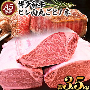 yӂ邳Ɣ[Łza qۂ1{ 3.5kg vcXЁs30ȓɏoח\(yj)t| a  Ԑg 3.5kg A5 Y q Xe[L 