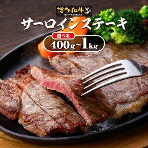 yӂ邳Ɣ[ŁzA4A5aT[CXe[L Iׂ 400g~1kg vcXЁs30ȓɏoח\(yj)t| a  T[CXe[L ⓀHi I Y 