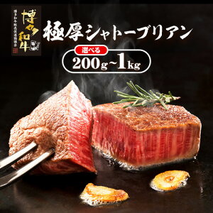 yӂ邳Ɣ[Łza qVg[uAXe[L Iׂ 200g ~ 1kg vcXЁs30ȓɏoח\(yj)t| a  Ԑg 1kg A5 I Vg[uA