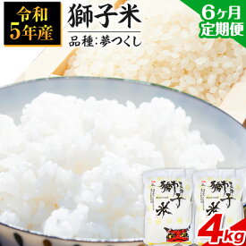 【ふるさと納税】【6ヶ月定期便】令和5年産 特別栽培米 獅子米（品種：夢つくし） 精米 4kg(2kg×2袋) 白米 精米 株式会社コモリファーム《お申込み月の翌月から出荷開始》減農薬・減化学肥料栽培　合計24kgお届け