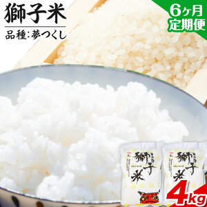 yӂ邳Ɣ[Łzy6ցzߘa7NY ʍ͔| qāiiFj  4kg(2kg×2)   ЃRt@[s\݌̗o׊Jnt_Ew