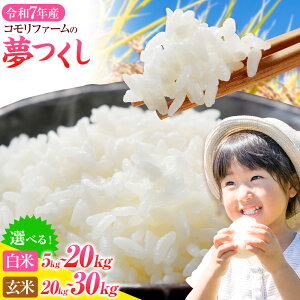 yӂ邳Ɣ[Łzs\āߘa7NY    5kg 10kg 15kg 20kg 30kg    ЃRt@[s10{-11oׁtsւ10oׁt |