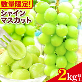 【ふるさと納税】【数量限定】シャインマスカット 2kg以上 3房以上 先行予約 数量限定 直鞍農業協同組合 営農センター 《8月中旬-9月中旬頃出荷》 シャインマスカット マスカット 果物 フルーツ 送料無料