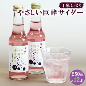 yӂ邳Ɣ[ŁzTC_[ 250ml×12{  Ǝ蒬 s30ȓɏoח\(yj)tԂǂ Ɣ_Ƌg c_Z^[ t[c