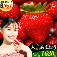 【ふるさと納税】★2026年出荷の先行予約★いちご あまおう 先行予約 い...