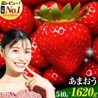 【ふるさと納税】高評価！いちご あまおう 540g 1080g 1620g...