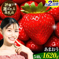 【ふるさと納税】高評価！いちご あまおう 先行予約 540g 1080g ...