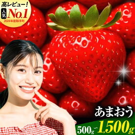 【ふるさと納税】★2027出荷★ いちご あまおう いちご 福岡 苺 【先行予約】フルーツ 苺 旬不揃い 【着日指定不可】《2027年2月中旬-3月中旬頃出荷》果物 いちご 福岡名産品 あまおう ふるさと納税 果物 ふるさと納税 くだもの ふるさと納税 フルーツ【配送不可地域：離島】