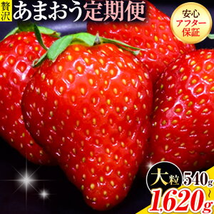 yӂ邳Ɣ[Łzy2ցz ܂ s\  540g 1080g 1620g ӂ邳Ɣ[ t[c  { 󂠂 ʌ ӂ邳Ɣ[ s  4 KiO KiOʕ  