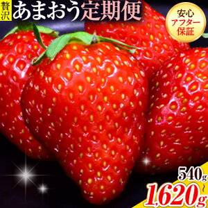 �y�ӂ邳�Ɣ[�Łz�y2��������ցz������ ���܂��� ��s�\�� ��������� 540g 1080g 1620g �ӂ邳�Ɣ[�� �t���[�c � �{ �󂠂� ���ʌ��� �ӂ邳�Ɣ[�� �s���� �� 4�� �K�i�O �K�i�O�ʕ� �������� 