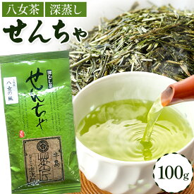 【ふるさと納税】八女茶 深蒸し 茶煎茶 100g 株式会社JSE《30日以内に順次出荷(土日祝除く)》 福岡県 鞍手郡 鞍手町 お茶 煎茶 深蒸し茶 お茶 茶葉 お茶の葉 お茶葉 煎茶 国産 日本茶 飲物 飲み物 飲みもの のみもの