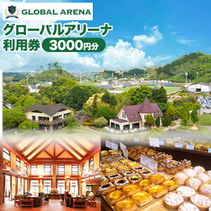 yӂ邳Ɣ[ŁzO[oA[i p 3000~ ЃO[oA[i s30ȓɏo(yj)tGLOBAL ARENA p  Ǝ蒬 h X|[c p oCLO X