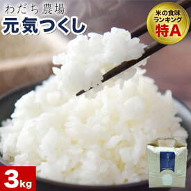 【ふるさと納税】【令和7年産】元気つくし 選べる 3kg 6kg 9kg 1袋3kg入り わだち農場《30日以内に出荷予定(土日祝除く)》福岡県 鞍手郡 鞍手町 米 コメ 元気つくし 袋 ちらし寿司 こめ