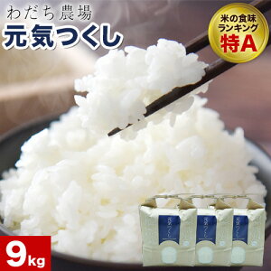 yӂ邳Ɣ[Łzyߘa7NYzC Iׂ 3kg 6kg 9kg 13kg 킾_s30ȓɏoח\(yj)t ƎS Ǝ蒬  R C  炵i 