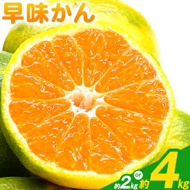 【ふるさと納税】【26年度出荷】みかん 早味かん 約2kg または 約4kg 南国フルーツ株式会社《9月中旬-9月下旬頃出荷》福岡県 鞍手町 福岡県産 みかん 早味かん フルーツ 果物
