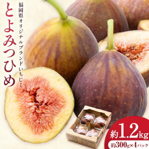 yӂ邳Ɣ[Łz ԉ Ƃ݂Ђ 1.2kg 300g × 4pbN 썑t[cЁs8{-10oׁt Ǝ蒬 Y  t[c ʕ