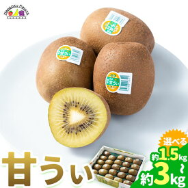 【ふるさと納税】【26年度出荷】キウイ 甘うぃ 約1.5kg 約3kg 南国フルーツ株式会社《10月下旬-11月末出荷》福岡県 鞍手町 あまおう 福岡県産 キウイ フルーツ キウイフルーツ 果物