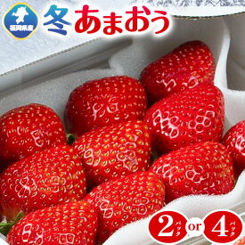 【ふるさと納税】福岡県産 冬あまおう 2パック 4パック 南国フルーツ株式会社《12月上旬-1月末頃出荷》福岡県 鞍手町 あまおう いちご イチゴ 送料無料【配送不可地域あり】