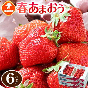 yӂ邳Ɣ[ŁzY t܂ 4pbN 6pbN 썑t[cЁs2{-3oׁt Ǝ蒬 ܂  C`S yzsn悠z