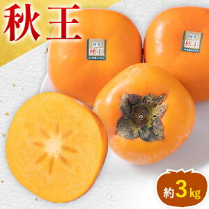 yӂ邳Ɣ[Łz` H 1.5kgi4-6ʁj ܂ 3kgi8-12ʁj 썑t[cЁs10{-11oׁt Ǝ蒬 Y ` t[c ʕ