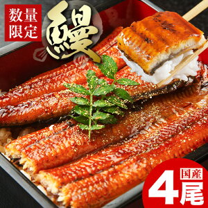 【ふるさと納税】うなぎ 鰻 福岡県産 鰻の蒲焼き 数量限定 4尾 560g 以上 HOMIE《45日以内に出荷予定(土日祝除く)》福岡県 鞍手郡 鞍手町 鰻 蒲焼き 数量限定 国産 蒲焼 うなぎ蒲焼 (1尾あたり140g