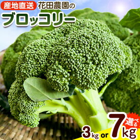 【ふるさと納税】ブロッコリー 花田農園 の ブロッコリー 選べる 10個 20個 花田農園 《11月下旬-3月末頃出荷》福岡県 鞍手町 ぶろっこりー 野菜 ブロッコリー 産地直送 送料無料