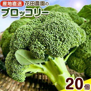 【ふるさと納税】ブロッコリー 花田農園 の ブロッコリー 選べる 10個 20個 花田農園 《11月下旬-3月末頃出荷》福岡県 鞍手町 ぶろっこりー 野菜 ブロッコリー 産地直送 送料無料