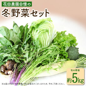 【ふるさと納税】冬野菜セット 約5kg 花田農園《11月下旬-2月末頃出荷》白菜 大根 大葉春菊 里芋 キャベツ 水菜 リーフレタス ブロッコリー ロマネスコ 福岡県 鞍手郡 鞍手町