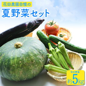【ふるさと納税】夏野菜セット 約5キロ 花田農園《6月上旬-8月上旬頃出荷》トマト きゅうり オクラ かぼちゃ マクワ瓜 すいか ゴーヤ じゃがいも 玉ねぎ 送料無料 福岡県 鞍手郡 鞍手町