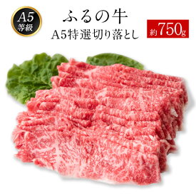【ふるさと納税】ふるの牛（黒毛和牛）A5特選 切り落とし 750g 送料無料 A5 ミシュラン掲載《30日以内に順次出荷(土日祝除く)》ふるさと納税 A4〜A5等級 黒毛和牛 切り落とし