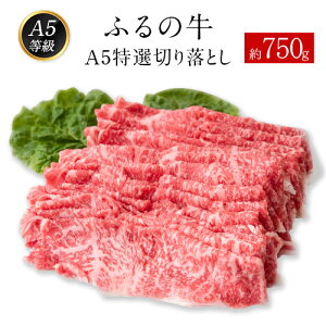 yӂ邳Ɣ[Łzӂ̋iјajA5I ؂藎Ƃ 750g  A5 ~Vfځs30ȓɏo(yj)tӂ邳Ɣ[ A4`A5 јa ؂藎Ƃ