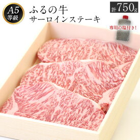 【ふるさと納税】ふるの牛（黒毛和牛）特選サーロインステーキ 750g(250g×3枚) ゲランド塩付き A5 有限会社ふるの《30日以内に順次出荷(土日祝除く)》