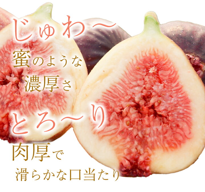 楽天市場】【ふるさと納税】先行予約 いちじく とよみつひめ 約1.2kg 300g×4パック 約12粒~16粒 福岡県 鞍手町 送料無料《8月上旬-9月上旬頃より順次出荷》イチジク 無花果 森のいちじく フルーツ : 福岡県鞍手町 楽天市場】【ふるさと納税】先行予約 いちじく とよみつひめ 約1.2kg 300g×4パック 約12粒~16粒 福岡県 鞍手町 送料無料《8月上旬-9月上旬頃より順次出荷》イチジク 無花果 森のいちじく フルーツ : 福岡県鞍手町