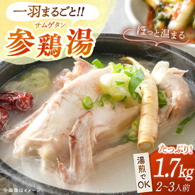 【ふるさと納税】参鶏湯（サムゲタン）1羽分 ▼ 参鶏湯 鍋 スープ セット 滋養強壮 優しい 人気 あっさり ヘルシー 鶏肉 簡単 便利 惣菜 パーティー アレンジ クッパ スタミナ にんにく お取り寄せ 美味しい 高品質 韓国料理 高評価 桂川町/マルマツ産業株式会社[ADAE002]