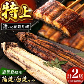 【ふるさと納税】【選べる発送月】 鹿児島産 うなぎ 2尾 蒲焼 ・ 白焼 食べ比べ セット （たれ付き） ▼ 国産 ウナギ 特大 蒲焼き 特大 丑の日 食べ比べ 白焼き 桂川町/山水商事[ADAH007]