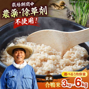 yӂ邳Ɣ[ŁzyIׂeʁzy ߘa7NY zÖ_̍_@ōāi  j3kg / 6kg  Y ߘa7N _ƒ Yi ] _@  j쒬/Ƒ Ö_[A