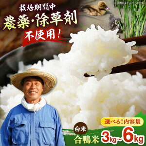 yӂ邳Ɣ[ŁzyIׂeʁzyߘa7NYzÖ_̍_@ō āiāj 3kg / 6kg _ Y ߘa7NY  _ƒ ] _@   j쒬/