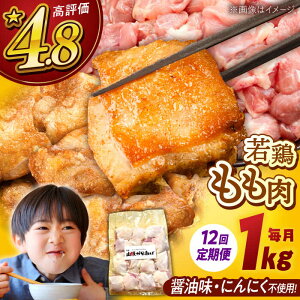 yӂ邳Ɣ[ŁzyS12ցzR炠iȂj1kg e 炠 1kg Ⓚ g g ٓ  ȒP  lC {  j쒬/R炠jX[ADAP005]